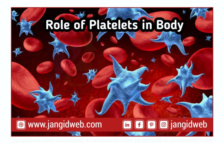 Role-of-pletelets-in-body